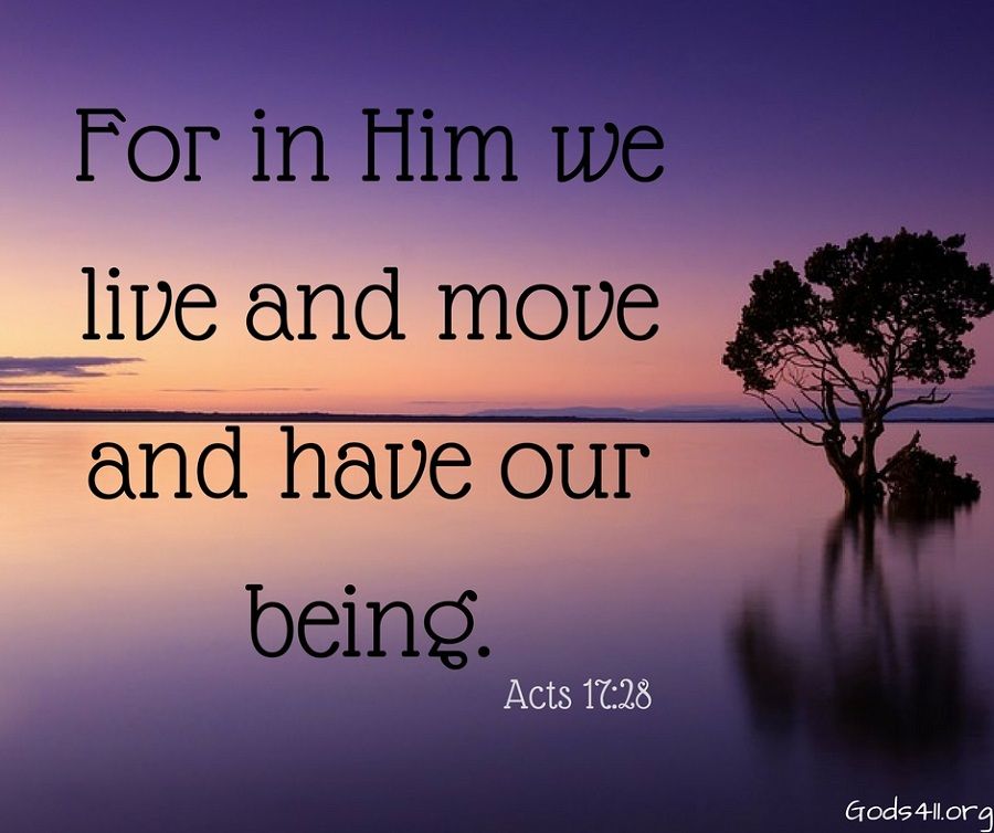 The living man (Acts 17:28)