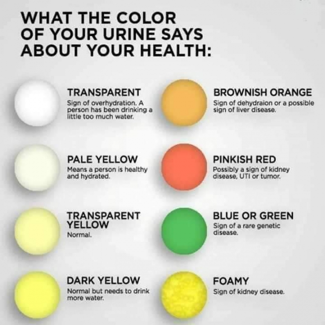 What the color of your urine says about your health.