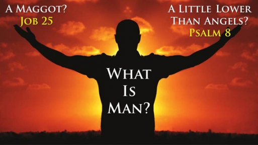 What Is Man? (Ps 8:3-6)