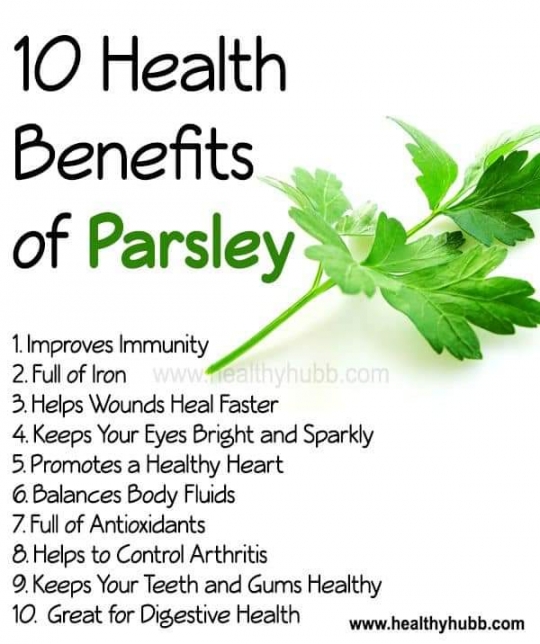 10 Health Benefits Of Parsley