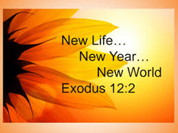 Behold the New Year 2023 (Ex.12:2)